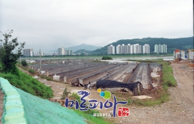 2002. 밀양강제방하우스철거전,상남