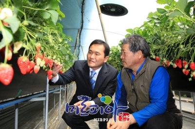 딸기고설재배농가현장방문