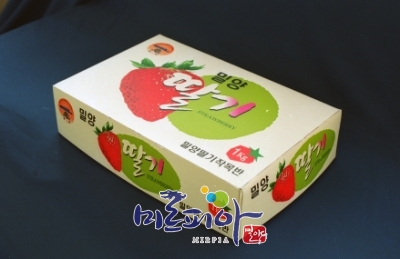 농산물 포장박스 디자인개발(딸기)